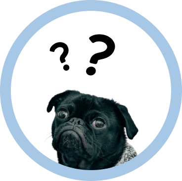 confused puppy img